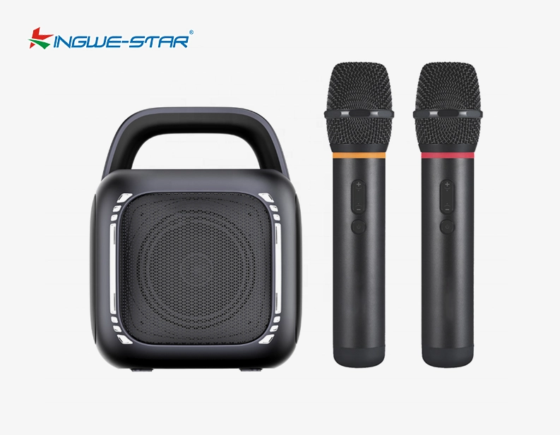 wireless portable speaker for sale